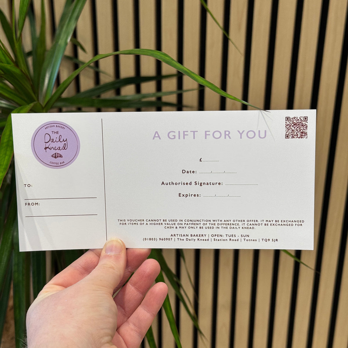 The Daily Knead Voucher