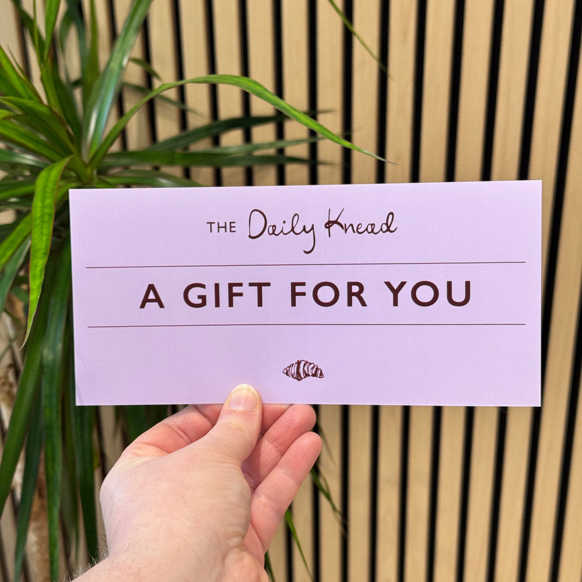 The Daily Knead Voucher