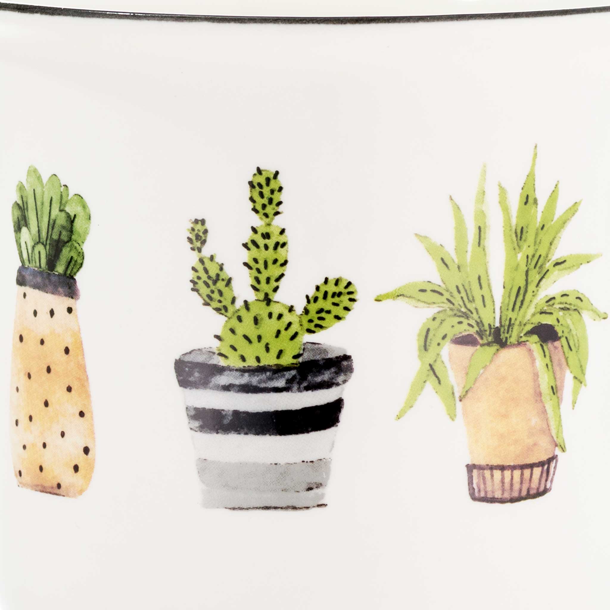Cactus Mug design from China Blue